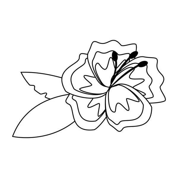 Blume Blüten Ikone Karikatur isoliert in schwarz und weiß — Stockvektor