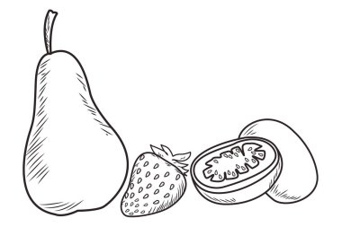 Taze meyve beslenme sağlıklı siyah beyaz el çizilmiş