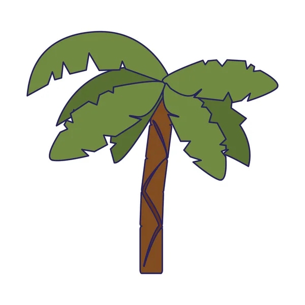 Palmiye ağacı çizgi film — Stok Vektör