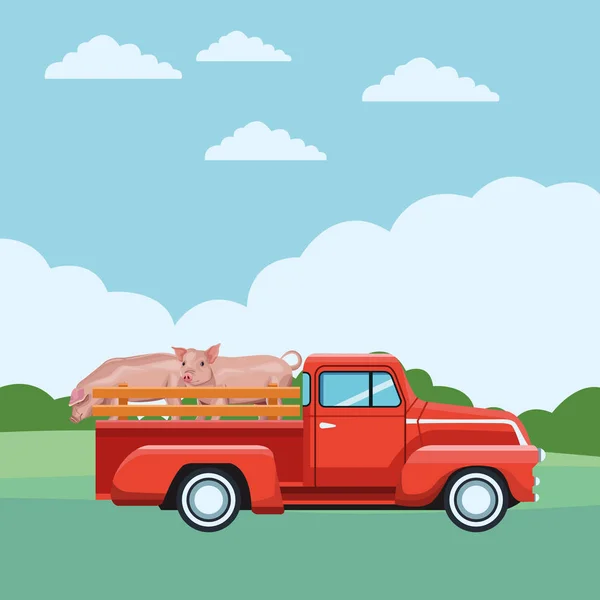 Camion et porc — Image vectorielle