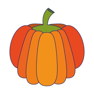 Kabak taze sebze mavi hatları