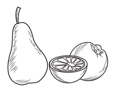 Taze meyve beslenme sağlıklı siyah beyaz el çizilmiş