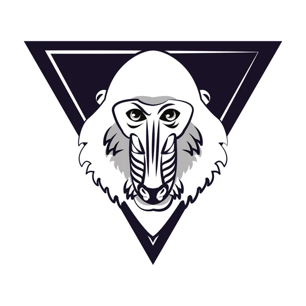 Mandrill twarz cool szkic — Wektor stockowy