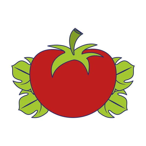 Tomate sobre hojas frescas vegetales líneas azules — Vector de stock