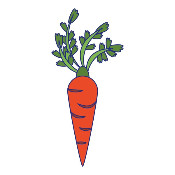Cenoura vegetal comida saudável desenhos animados linhas azuis — Vetor de Stock