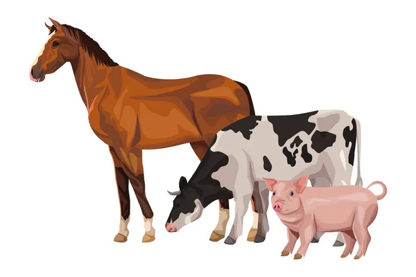 Horse cow and pig — Stock Vector