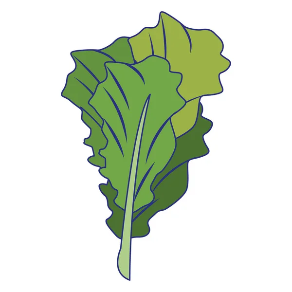 Feuille d'épinards légumes alimentation saine dessin animé lignes bleues — Image vectorielle