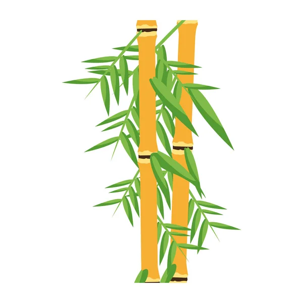 Bamboo asian plant — Stock Vector