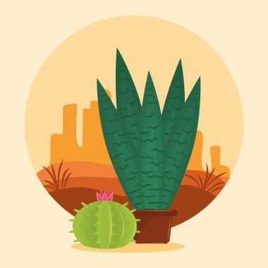Çöl manzarası üzerinde kaktüs sulu pot