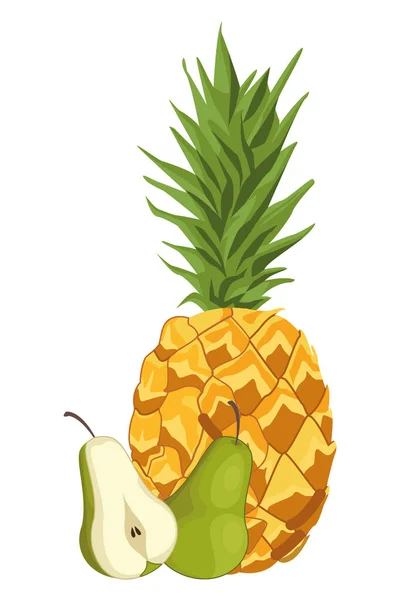 Ananas ve armut yarım kesilmiş meyve — Stok Vektör
