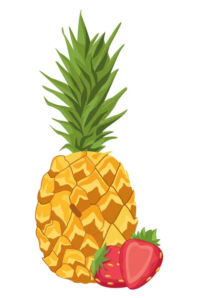 Frutas tropicales frescas y deliciosas — Vector de stock