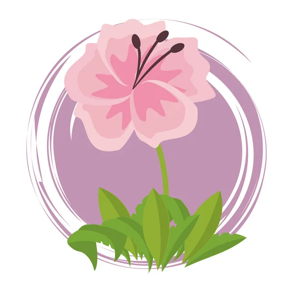 Flower round emblem