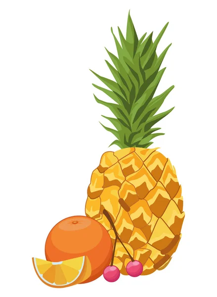 Frutas tropicales frescas y deliciosas — Vector de stock