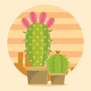 Desertscape iki Kaktüs sulu pot