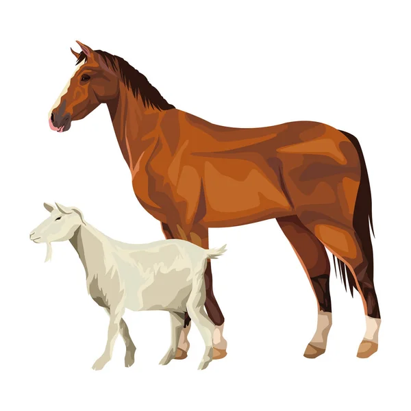 Horse and goat — Stock Vector