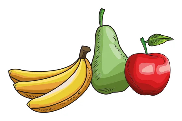 Fresh fruit nutrition healthy — Stock Vector