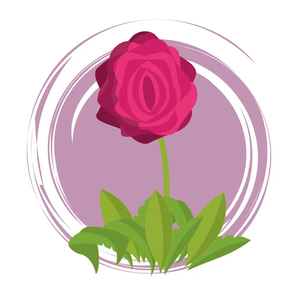 Flor emblema redondo — Vector de stock