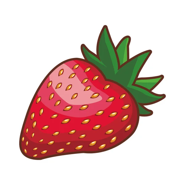 Erdbeerfrucht isoliert — Stockvektor
