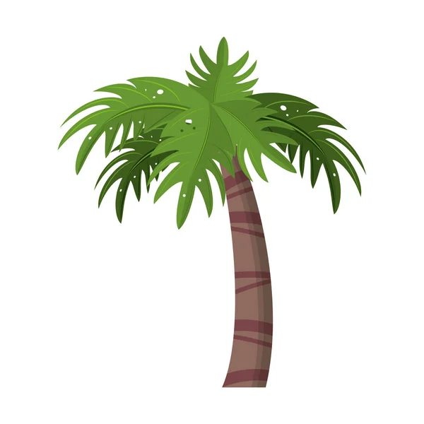 Пляжные пальмы — стоковый вектор