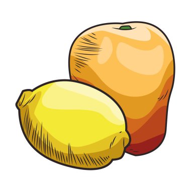 Temel Taze meyve beslenme sağlıklı el çizilmiş