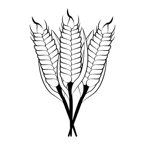 Símbolo de trigo em preto e branco — Vetor de Stock