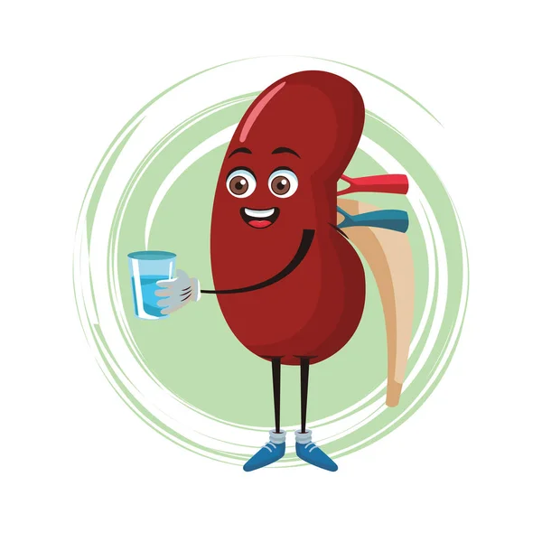 Desenhos animados engraçados dos rins — Vetor de Stock