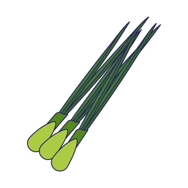 Cebolla verde vegetal — Vector de stock