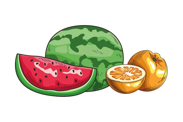 Bas färsk frukt näring hälsosam hand dras — Stock vektor