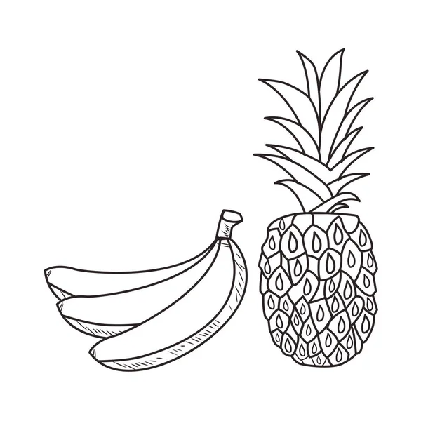 新鲜水果营养健康黑白手绘 — 图库矢量图片