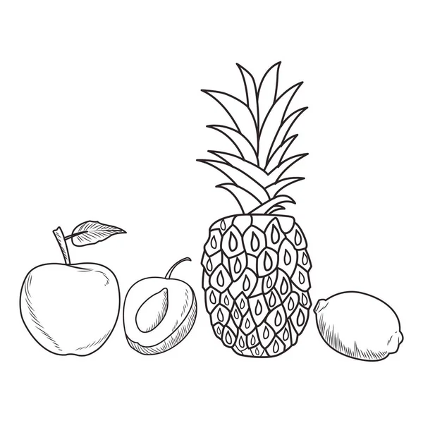 Νωπά φρούτα διατροφή υγιή μαύρο και λευκό χέρι που σχεδιάζονται — Διανυσματικό Αρχείο