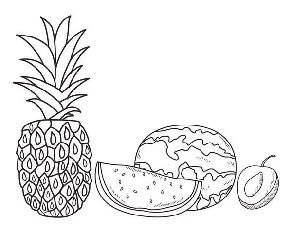 新鲜水果营养健康黑白手绘 — 图库矢量图片