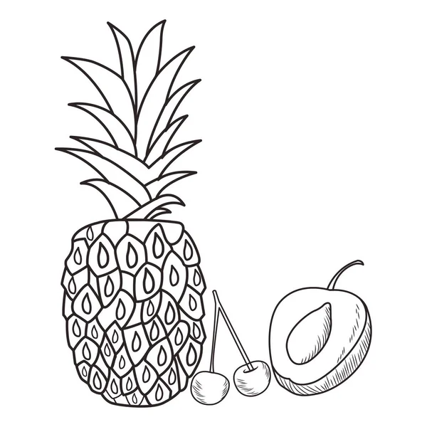 Nutrición de fruta fresca sana dibujada a mano en blanco y negro — Archivo Imágenes Vectoriales