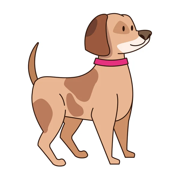 Schattige hond puppy huisdier cartoon — Stockvector