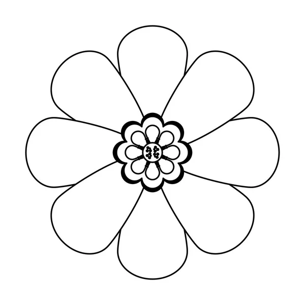 Květinová dekorace v černém a bílém filmu — Stockový vektor