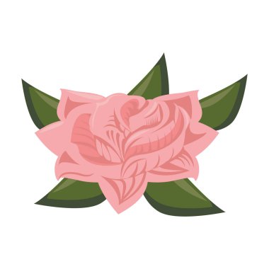 tropikal çiçek botanik çevre karikatür