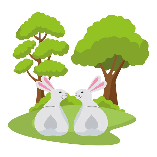 Carino due conigli animali cartoni animati — Vettoriale Stock