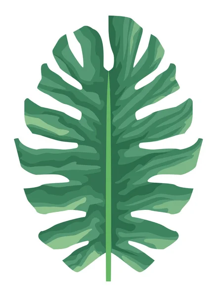 Tropische blad natuur cartoon symbool — Stockvector