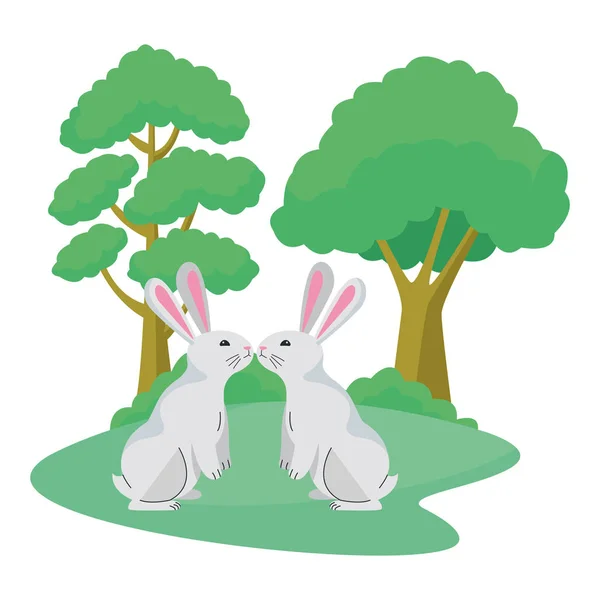 可爱的两只兔子动物卡通 — 图库矢量图片