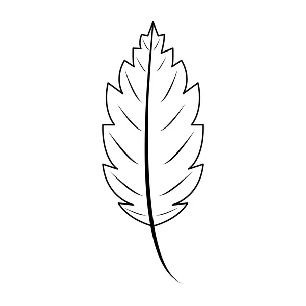 Automne saison des feuilles nature dessin animé symbole en noir et blanc — Image vectorielle