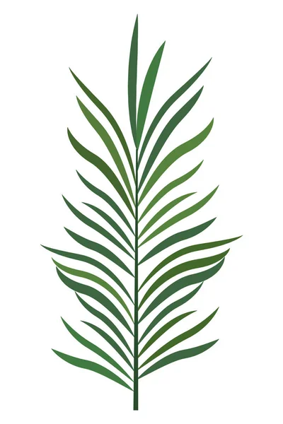 Caricatura de naturaleza tropical de hoja de palma — Vector de stock