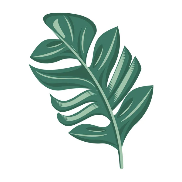 Environnement botanique floral tropical dessin animé — Image vectorielle