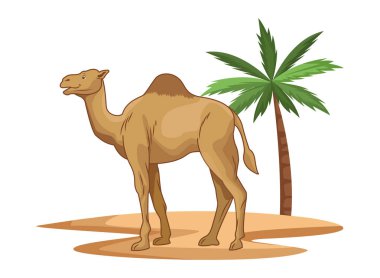 Palmiye ağacı karikatür izole ile çölde Camel