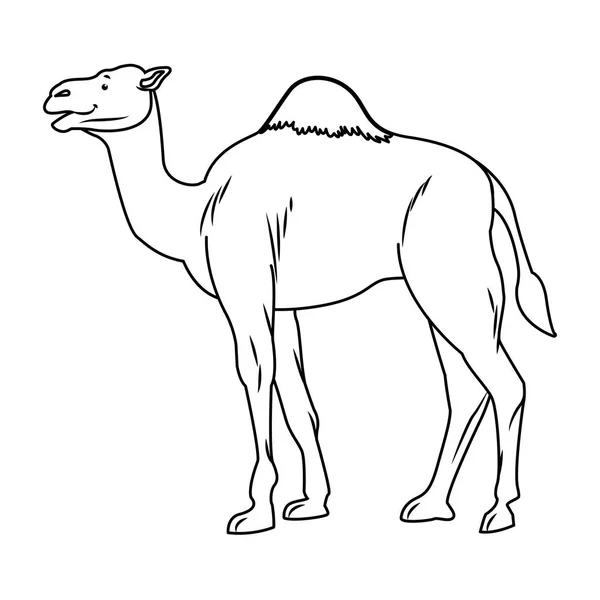 Camel pustyni zwierzę kreskówka SideView w czerni i bieli — Wektor stockowy