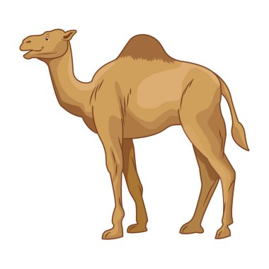 Deve çöl hayvan karikatür sideview