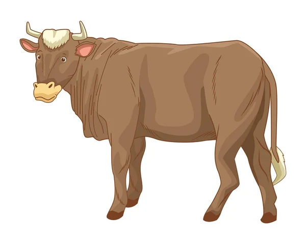 Koe dierlijke Side View cartoon geïsoleerd — Stockvector