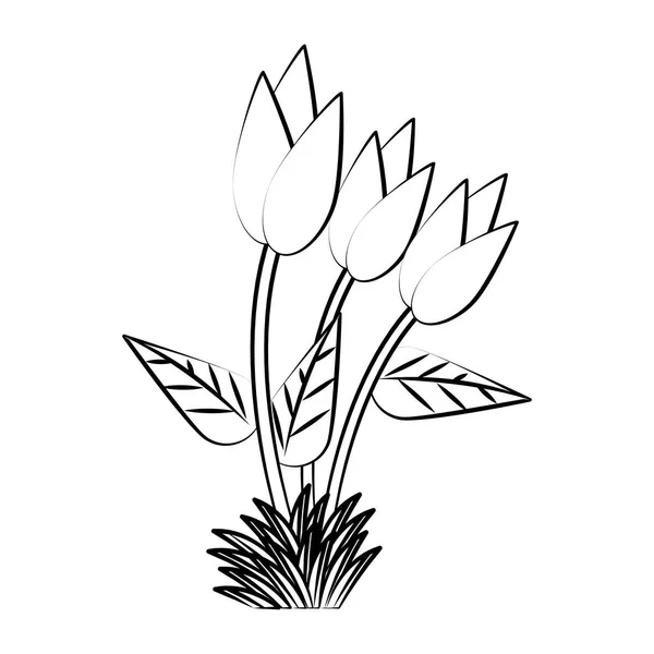 Flores primavera tropical dibujo de dibujos animados florales en blanco y negro — Vector de stock