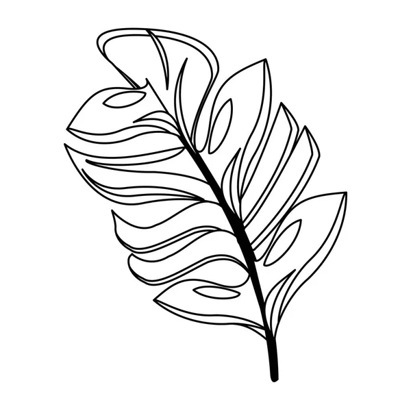 Environnement botanique floral tropical dessin animé en noir et blanc — Image vectorielle