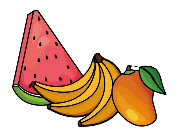 Φρέσκα και νόστιμα τροπικά φρούτα — Διανυσματικό Αρχείο