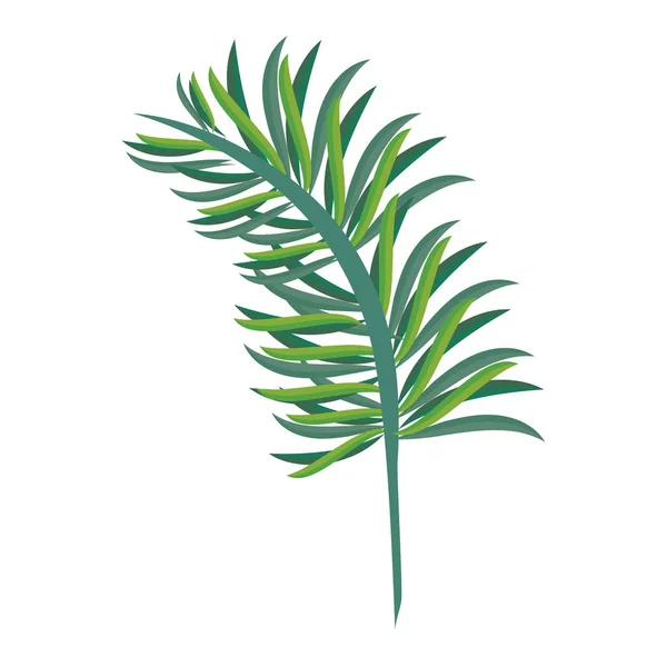 Τροπικά φύλλα φύση καρτούν απομονωμένη — Διανυσματικό Αρχείο
