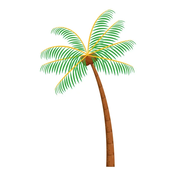 Palm met kokosnoot icoon cartoon — Stockvector